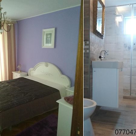 Pelican Proxy Apartment 拉迪亚 外观 照片