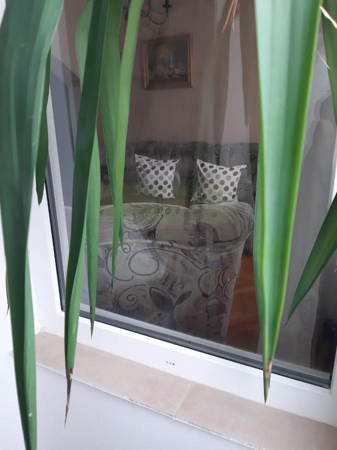 Pelican Proxy Apartment 拉迪亚 外观 照片